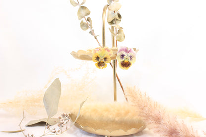 Clous avec pensées tricolores