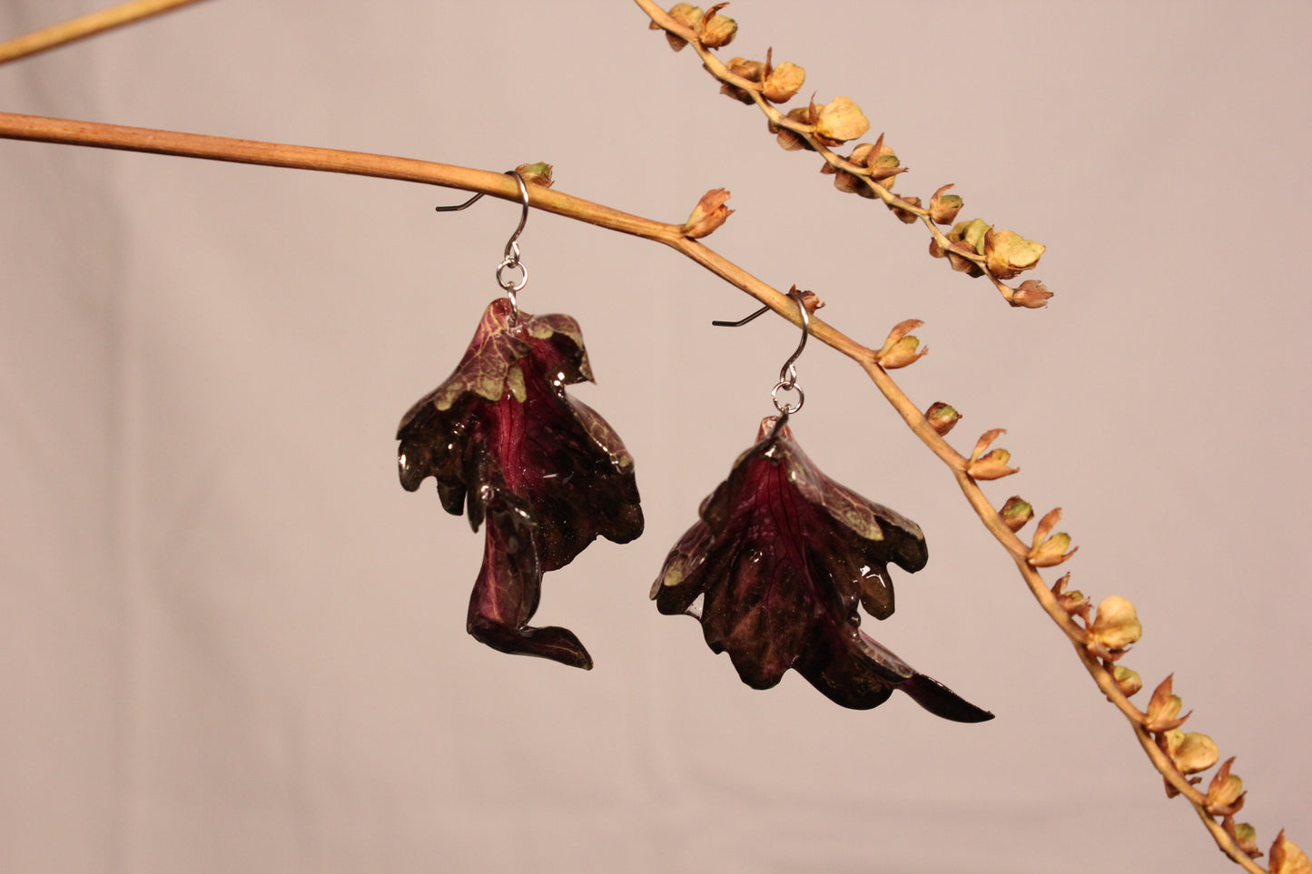 Crochets avec coleus dragon noir