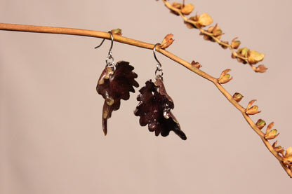 Crochets avec coleus dragon noir