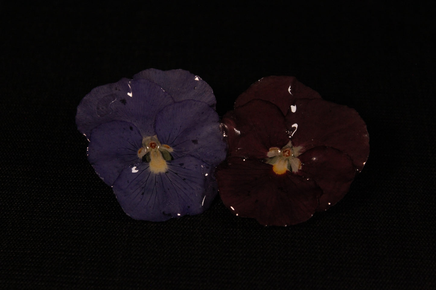 Pince à cheveux 2 pensées foncées