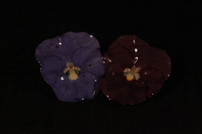 Pince à cheveux 2 pensées foncées