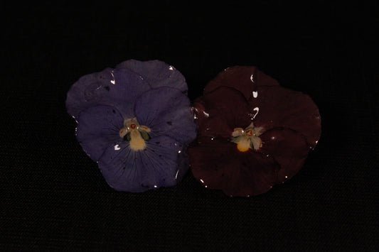 Pince à cheveux 2 pensées foncées