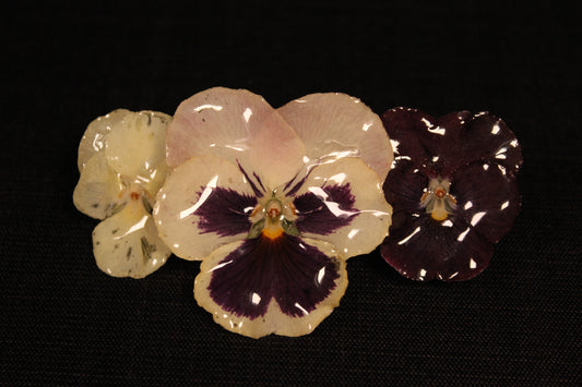 Pince à cheveux 3 pensées