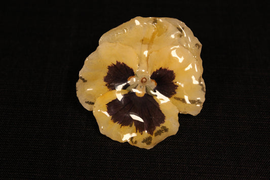 Pince à cheveux 1 pensée